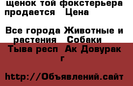 щенок той-фокстерьера продается › Цена ­ 25 000 - Все города Животные и растения » Собаки   . Тыва респ.,Ак-Довурак г.